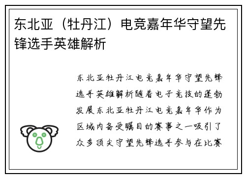 东北亚（牡丹江）电竞嘉年华守望先锋选手英雄解析