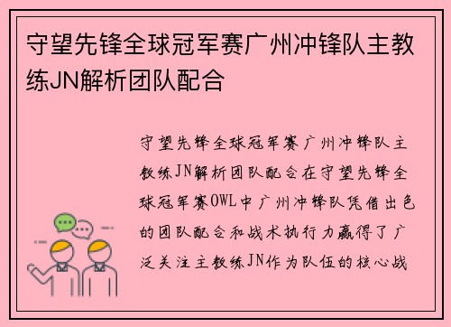 守望先锋全球冠军赛广州冲锋队主教练JN解析团队配合