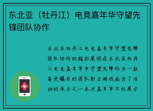 东北亚（牡丹江）电竞嘉年华守望先锋团队协作