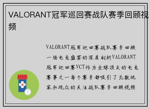 VALORANT冠军巡回赛战队赛季回顾视频