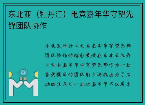 东北亚（牡丹江）电竞嘉年华守望先锋团队协作